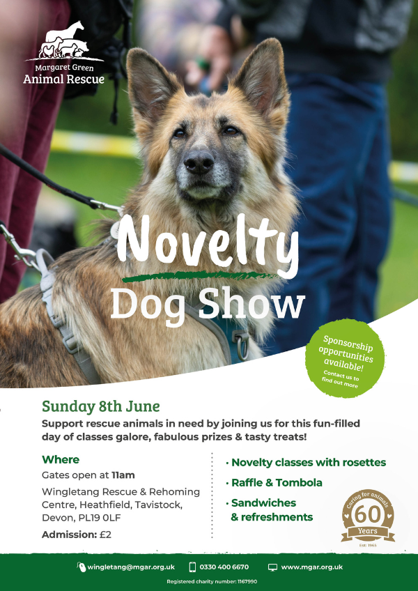 Novelty Dog Show Poster 2024